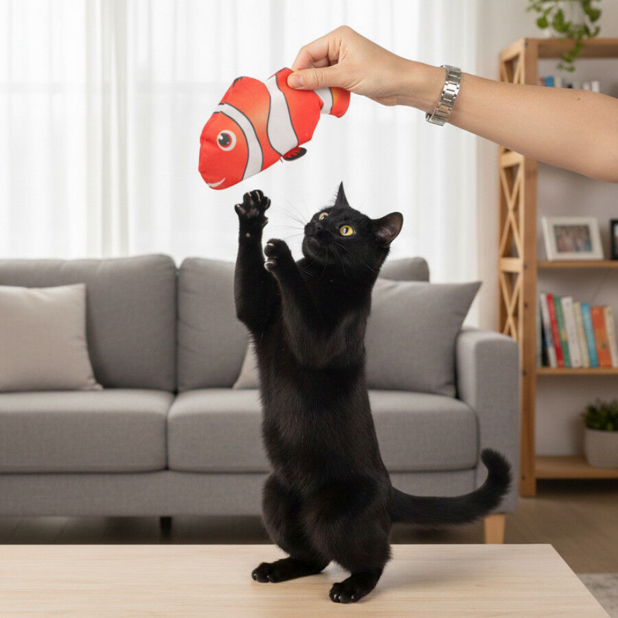 Tootoy! Interactive & Stimulate Brinquedo Nemo Interativo para gatos, , large Imagem n&uacute;mero 1