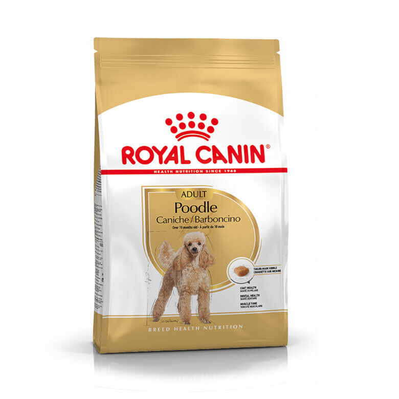 Royal Canin Adult Poodle ra&ccedil;&atilde;o para c&atilde;es, , large Imagem n&uacute;mero 1
