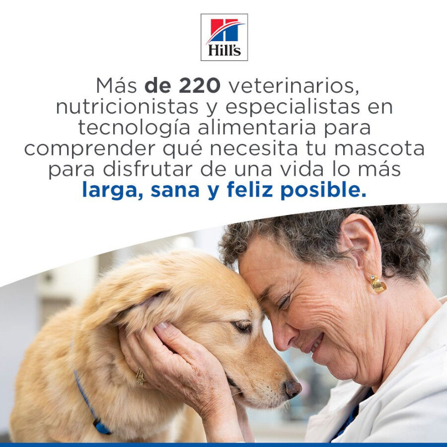 363 g Hill's Science Plan Adult Comida h&uacute;mida de Vaca e Legumes para c&atilde;es, , large Imagem n&uacute;mero 6