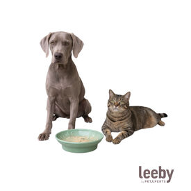 Leeby Comedouro Verde de Silicone para gatos