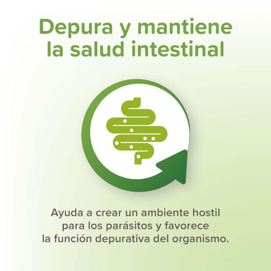 125 g Beaphar Vermipure Desparasitante em pasta para c&atilde;es, , large Imagem n&uacute;mero 4