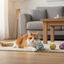 Tootoy! Kitten Kit de bolas de l&atilde; com guizo para gatinhos, , large Indicador imagem n&uacute;mero 1