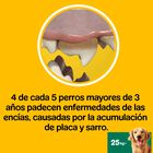 Pedigree Dentastix Fresh Snacks Dentários para Cães Grandes, , large image number null