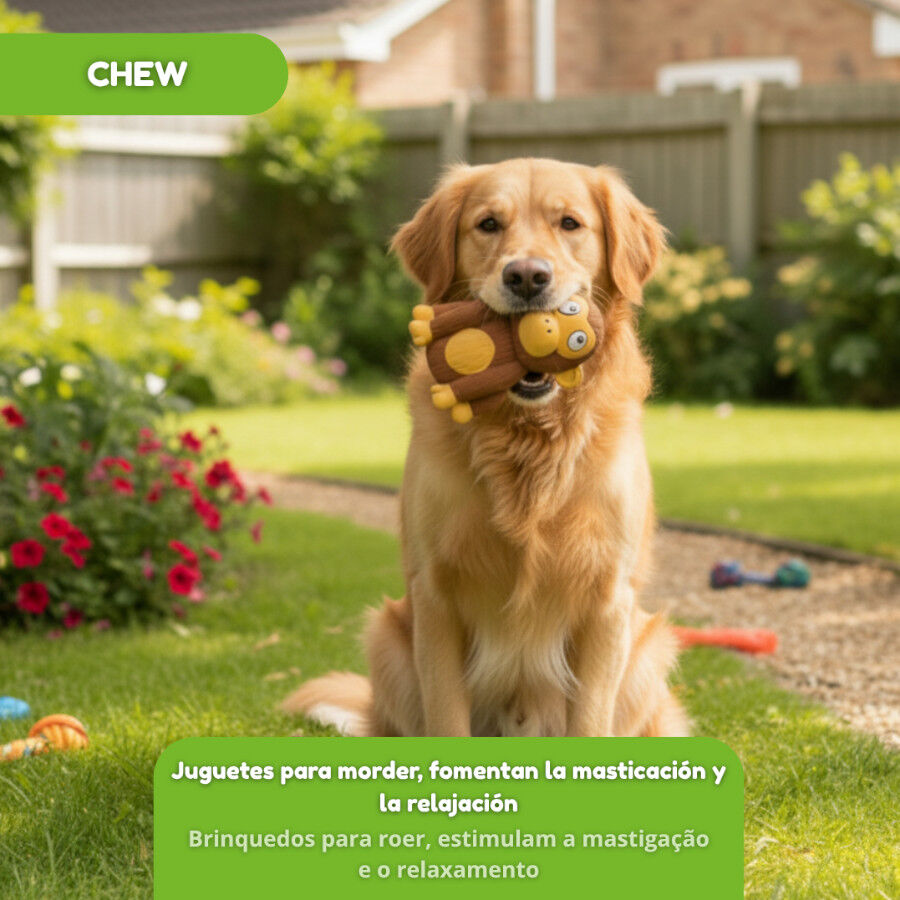 Tootoy! Chew Mordedor Macaquinho Chimpanz&eacute; para c&atilde;es, , large Imagem n&uacute;mero 5