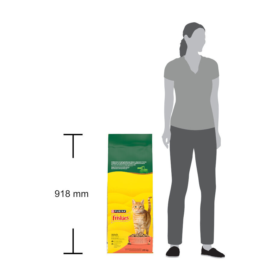 20 kg Friskies Adult Vaca, Frango e Legumes ra&ccedil;&atilde;o para gatos, , large Imagem n&uacute;mero 6