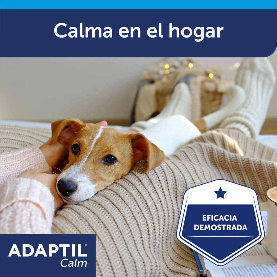 Adaptil Difusor e Recarga Tranquilizante para C&atilde;es, , large Imagem n&uacute;mero 7