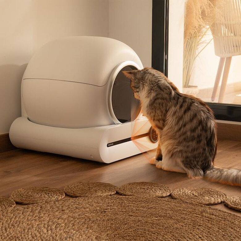 Cecotec Pumba 8000 CleanKitty Smart Caixa sanitária autolimpante para gatos,  Imagem número 8 Cecotec Pumba 8000 CleanKitty Smart Caixa sanitária autolimpante para gatos, , large Imagem número 8