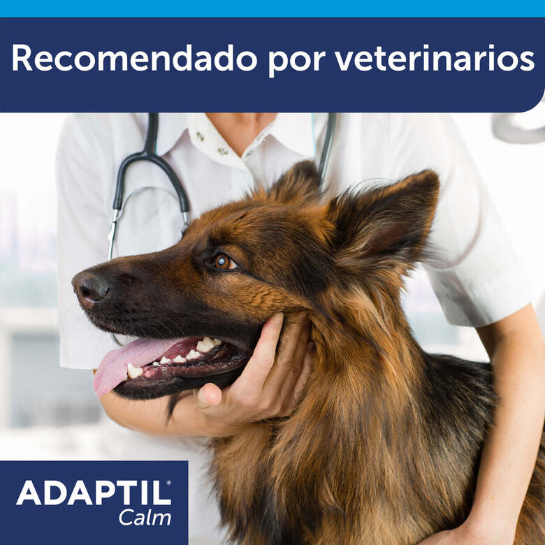 Adaptil Calm Coleira Relaxante para cães, , large image number null