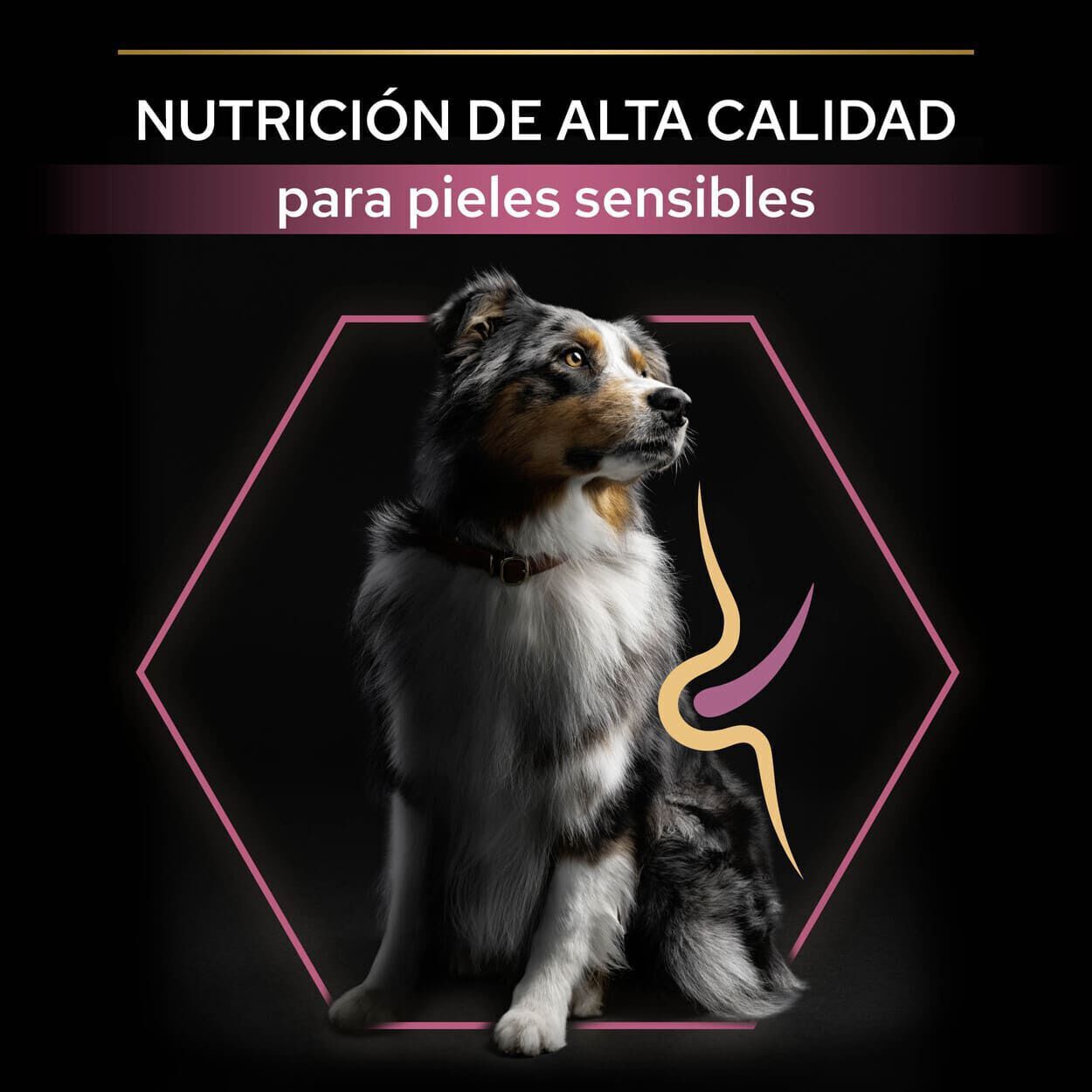 14 kg Pro Plan Adult Medium Sensitive Skin Salm&atilde;o ra&ccedil;&atilde;o para c&atilde;es, , large Imagem n&uacute;mero 8