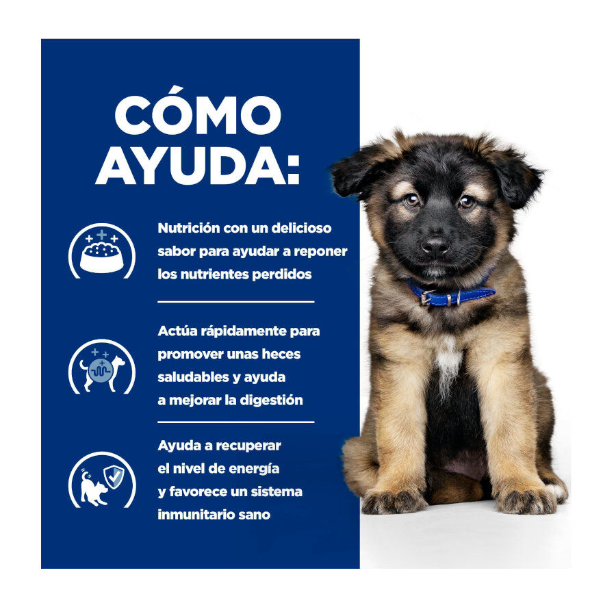 12 kg Hill's Prescription Diet I/D Digestive Care Puppy Pienso Seco Pollo para perros, , large Imagem n&uacute;mero 4