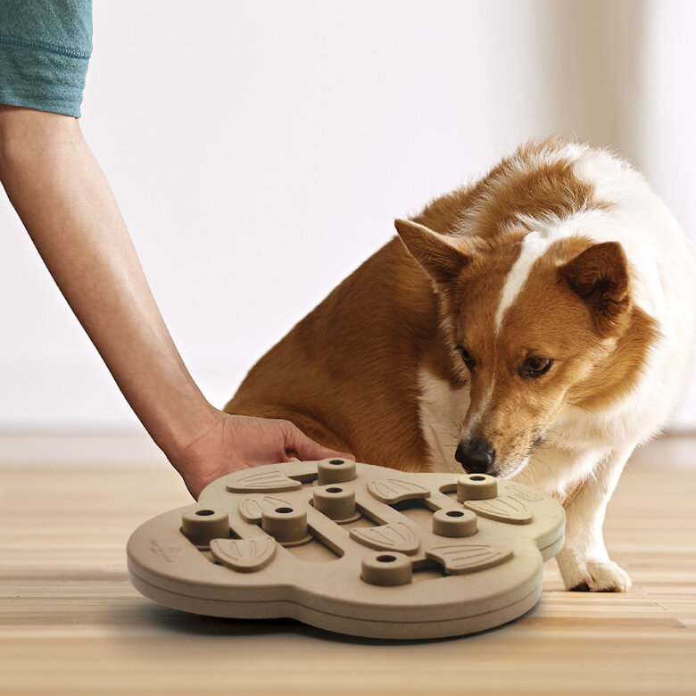 Outward Hound Hide n’ Slide Puzzle para cães,  Imagem número 3 Outward Hound Hide n’ Slide Puzzle para cães, , large Imagem número 3