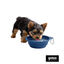 Gotoo Comedouro Dobr&aacute;vel e Port&aacute;til em Silicone Azul para c&atilde;es e gatos, , large Indicador imagem n&uacute;mero 7