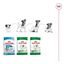 9 kg (8 + 1 kg ¡gratis!) Royal Canin Mini Adult ração para cães, , large Indicador imagem número 11