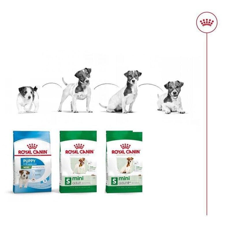 8 kg Royal Canin Mini Adult ração para cães,  Imagem número 11 8 kg Royal Canin Mini Adult ração para cães, , large Imagem número 11
