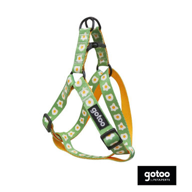 Gotoo Coleira estampada verde para cães
