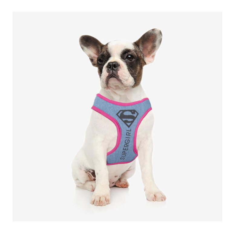 DC Supergirl Peitoral para cães, , large image number null