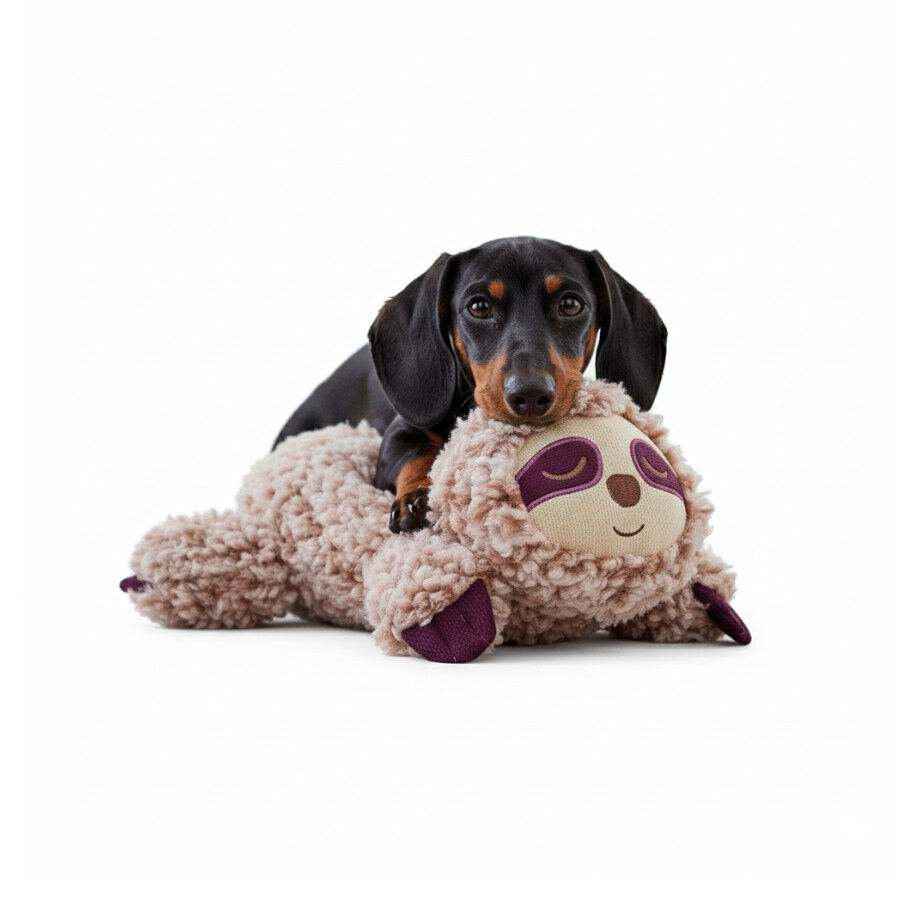 All For Paws Calming Pals Pregui&ccedil;a com Lavanda Brinquedo para c&atilde;es, , large Imagem n&uacute;mero 3