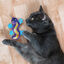 Kong Better Buzz Gecko peluche para gatos, , large Indicador imagem número 2