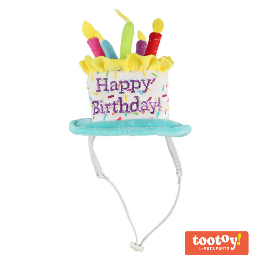 Tootoy! Birthday Hat Multicolor Bolo de Anivers&aacute;rio de Peluche para c&atilde;es, , large Imagem n&uacute;mero 1