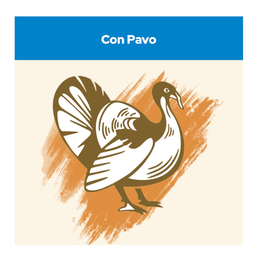 15 kg Cat Chow 3 em 1 Peru ra&ccedil;&atilde;o para gatos, , large Imagem n&uacute;mero 3