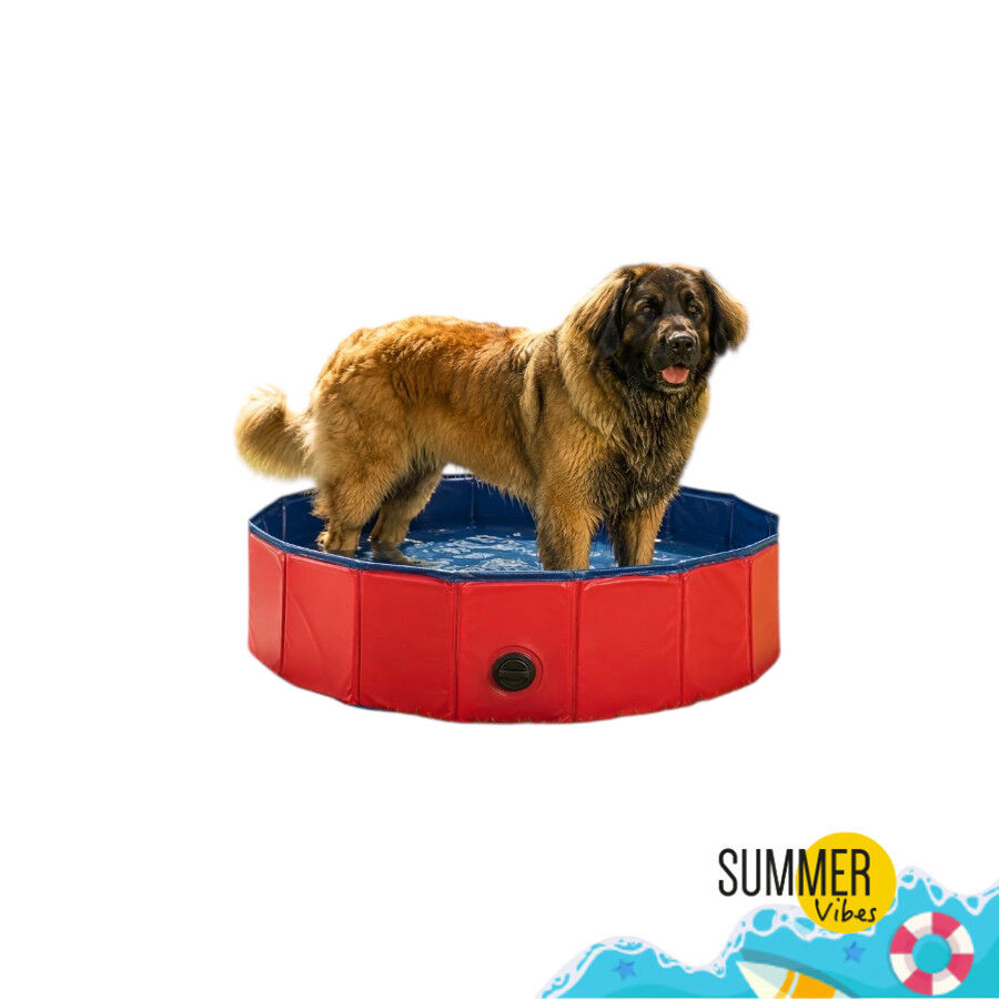 Summer Vibes Fresh Pool Piscina Vermelha para c&atilde;es, , large Imagem n&uacute;mero 7