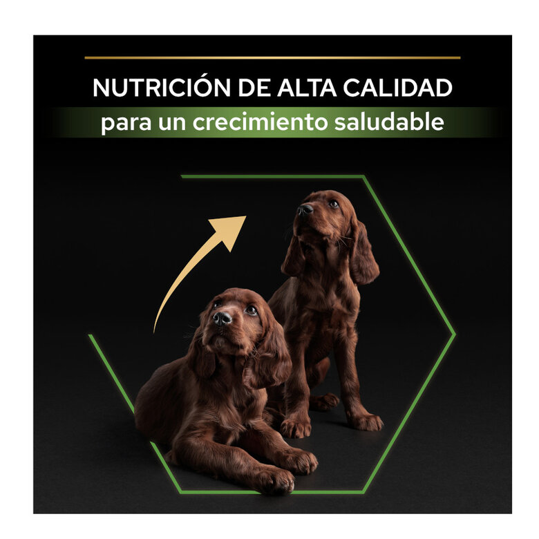 12 kg Pro Plan Puppy Large Athletic Frango ração para cães,  Imagem número 8 12 kg Pro Plan Puppy Large Athletic Frango ração para cães, , large Imagem número 8