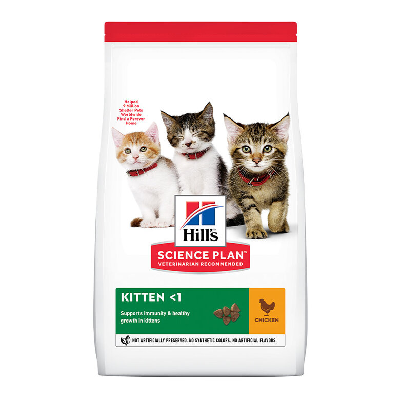 7 kg Hill's Kitten  Science Plan Frango ração ,  Imagem número 1 7 kg Hill's Kitten  Science Plan Frango ração , , large Imagem número 1