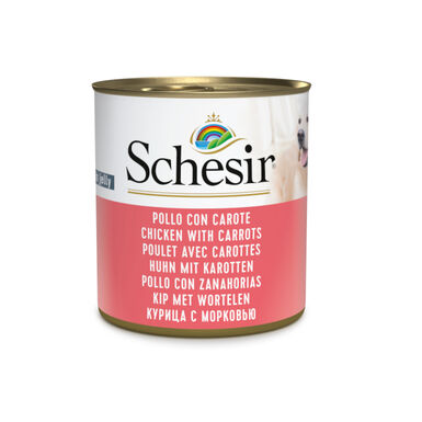 Schesir Adult Frango com Cenouras lata para cães