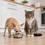 Leeby Comedouro em A&ccedil;o Inoxid&aacute;vel com Base de Borracha para c&atilde;es e gatos, , large Indicador imagem n&uacute;mero 1