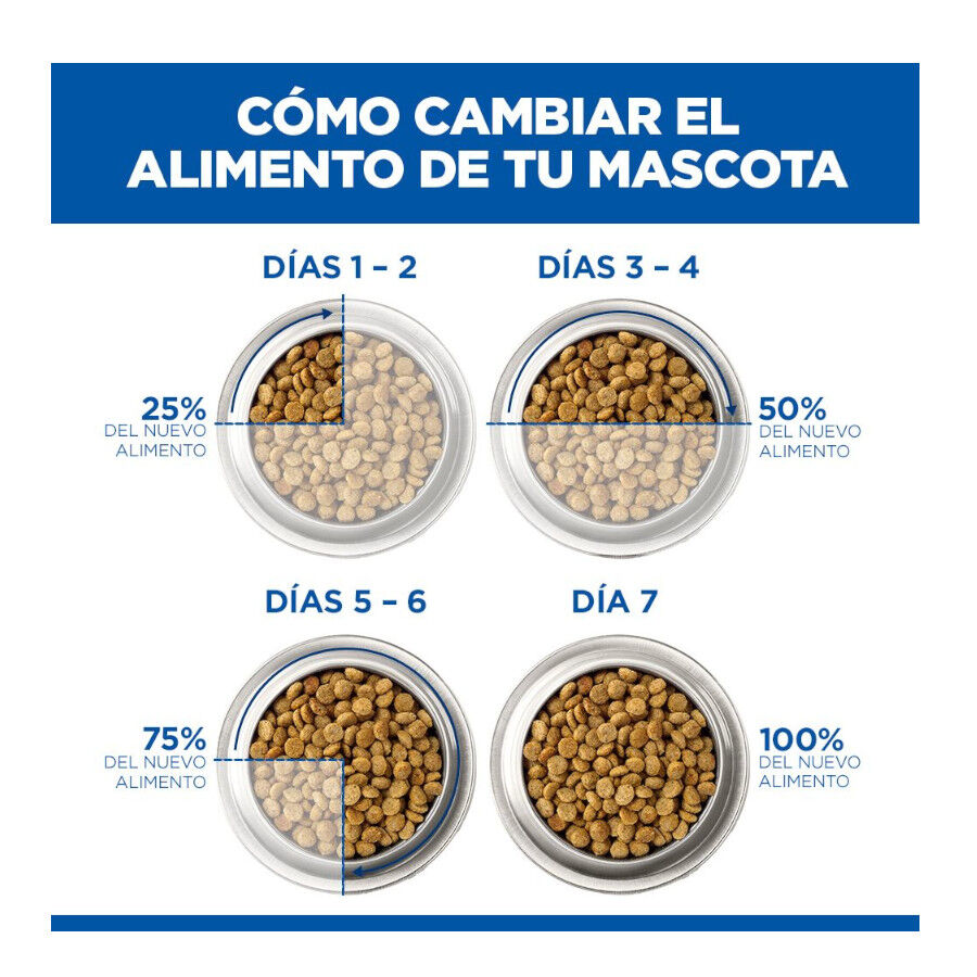 14 kg Hill's Science Plan Adult Medium Frango ra&ccedil;&atilde;o para c&atilde;es, , large Imagem n&uacute;mero 12