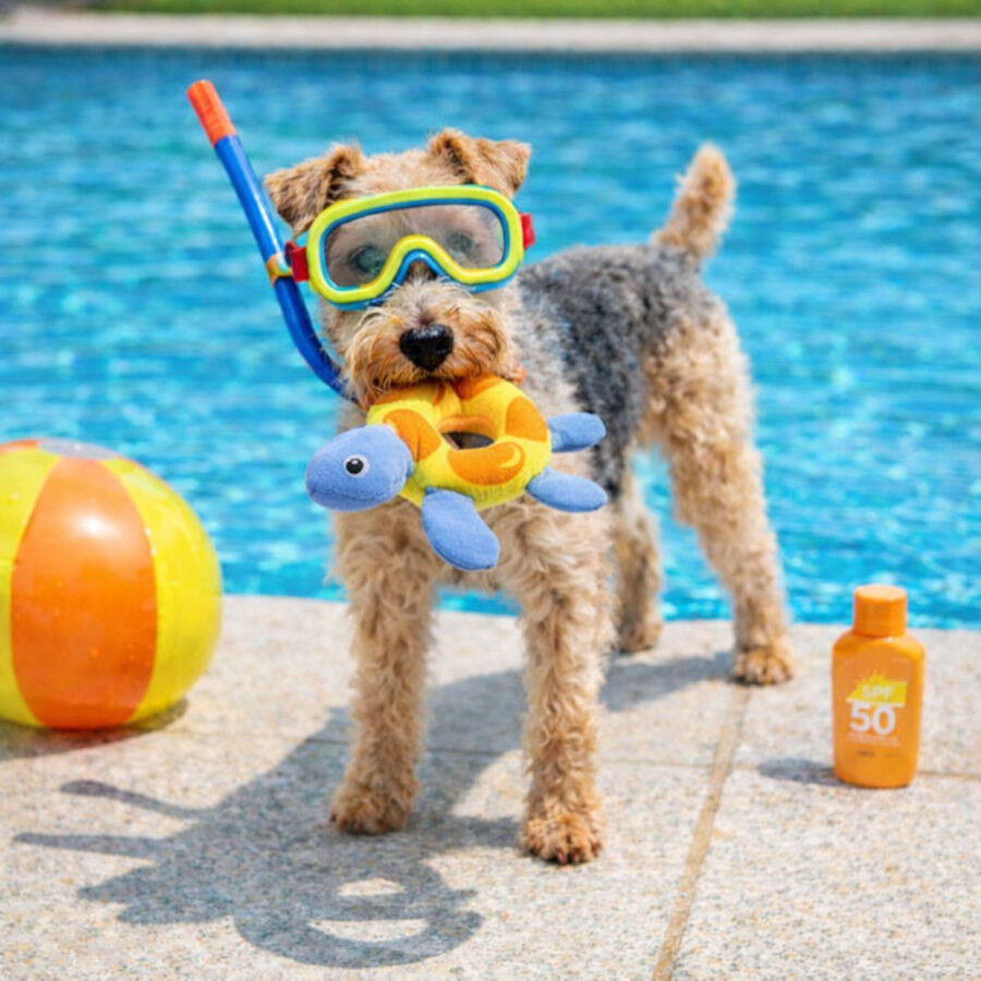 Summer Vibes Floating Fish Brinquedo Flutuante para c&atilde;es, , large Imagem n&uacute;mero 1