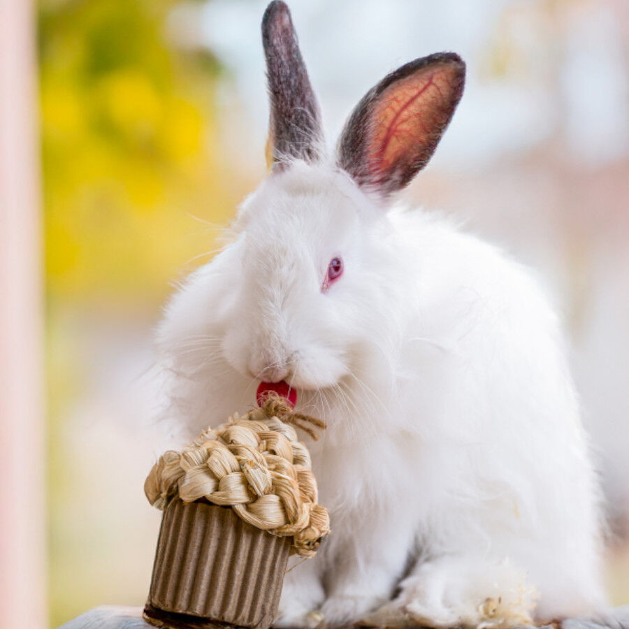 Quapas Cupcake Brinquedo para roedores, , large Imagem n&uacute;mero 2