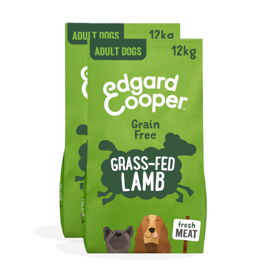 2 x 12 kg Edgard & Cooper Adult Borrego ra&ccedil;&atilde;o para c&atilde;es Pack poupan&ccedil;a!, , large Imagem n&uacute;mero 1