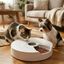 Leeby Comedouro Autom&aacute;tico Program&aacute;vel Circular para c&atilde;es e gatos, , large Indicador imagem n&uacute;mero 1