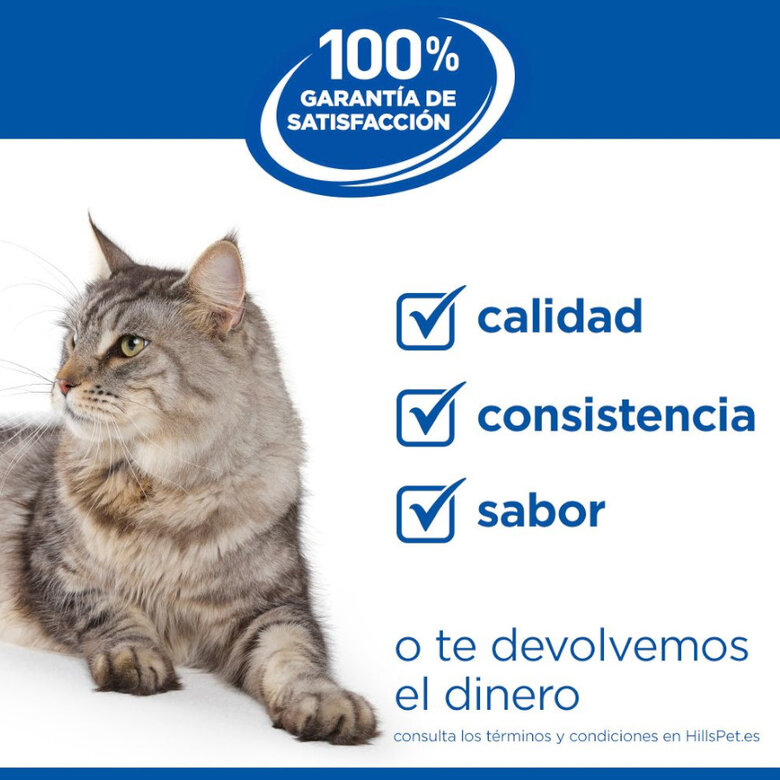 1.5 kg Hill's Science Plan Youthful Vitality Frango ração para gatos,  Imagem número 8 1.5 kg Hill's Science Plan Youthful Vitality Frango ração para gatos, , large Imagem número 8