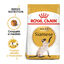 10 kg Royal Canin Adult Siamês ração para gatos, , large Indicador imagem número 2
