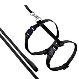 Flamingo Arn&eacute;s con Correa Ziggi Negro para gatos