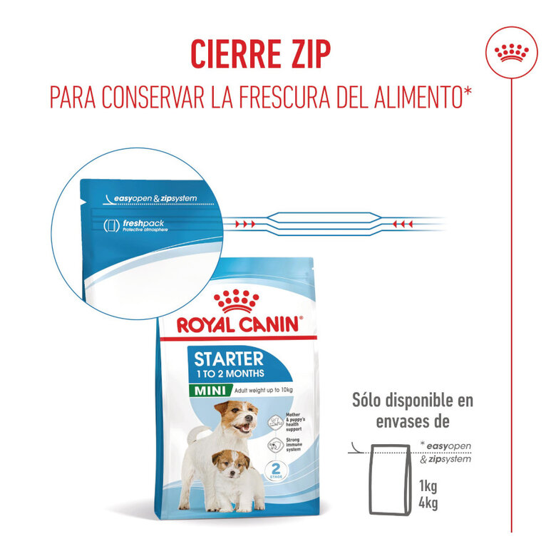 Royal Canin Mini Starter MothereBaby ração para cães,  Imagem número 11 Royal Canin Mini Starter MothereBaby ração para cães, , large Imagem número 11