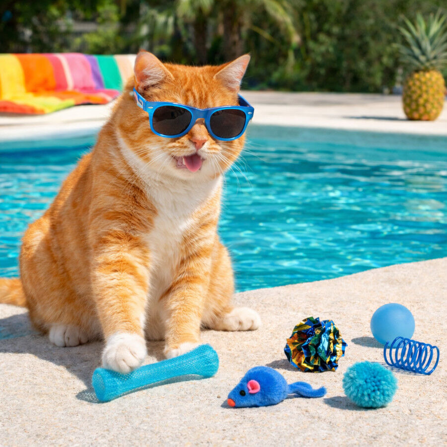 Summer Vibes Dolce Vita Cat Set x6 Brinquedos para gatos, , large Imagem n&uacute;mero 1