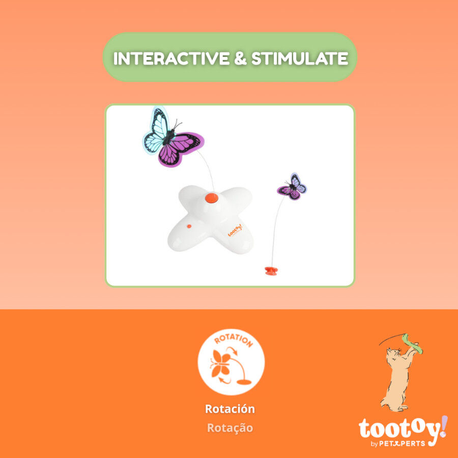 Tootoy! Interactive & Stimulate Brinquedo interativo para gatos, , large Imagem n&uacute;mero 5