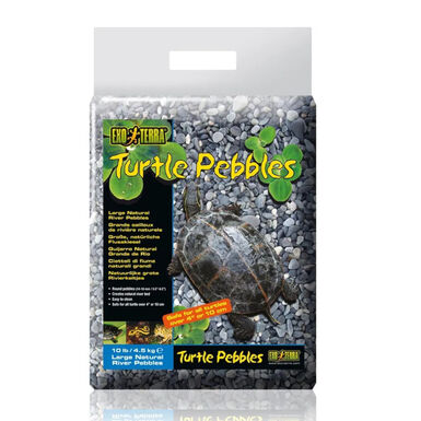 Exo Terra Pedra Seixo natural de rio para tartarugas