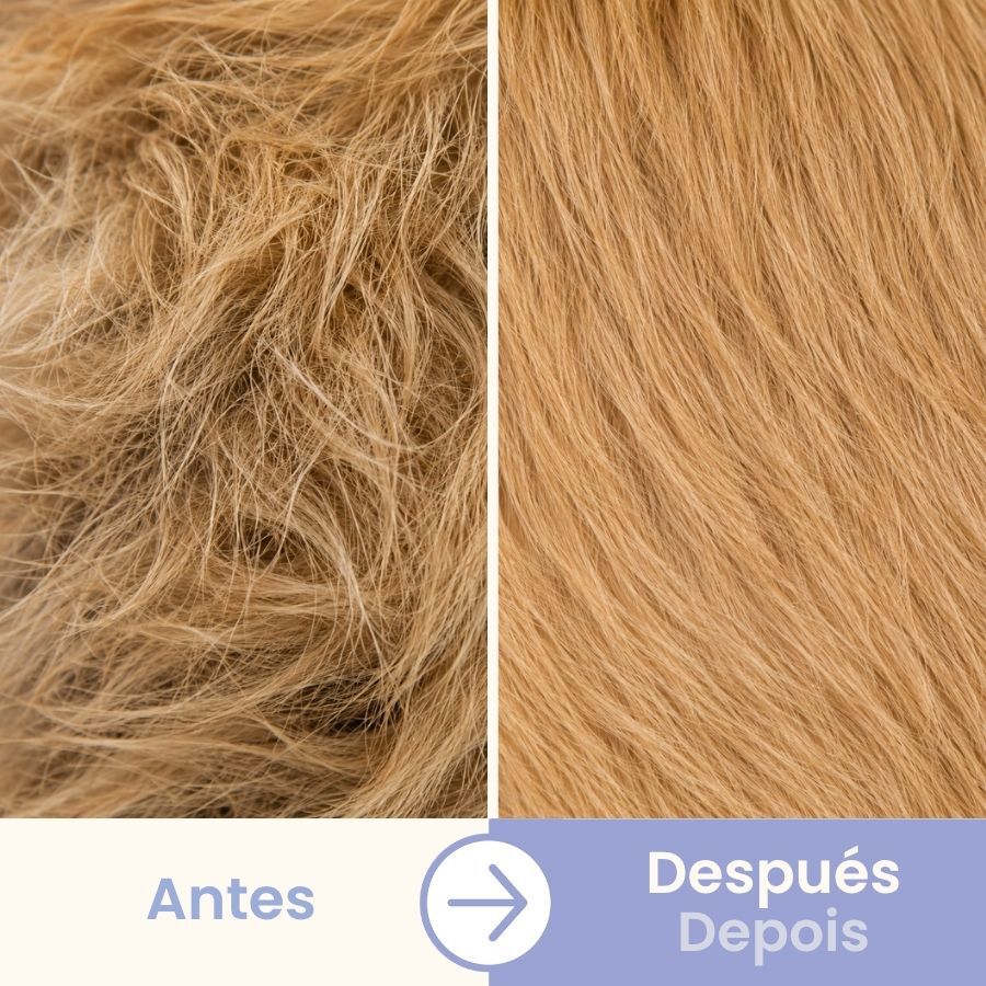 Bloob Escova de pinos e cerdas para c&atilde;es, , large Imagem n&uacute;mero 5
