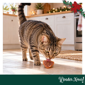 Wonder Christmas Cora&ccedil;&otilde;es de Frango Snacks para gatos