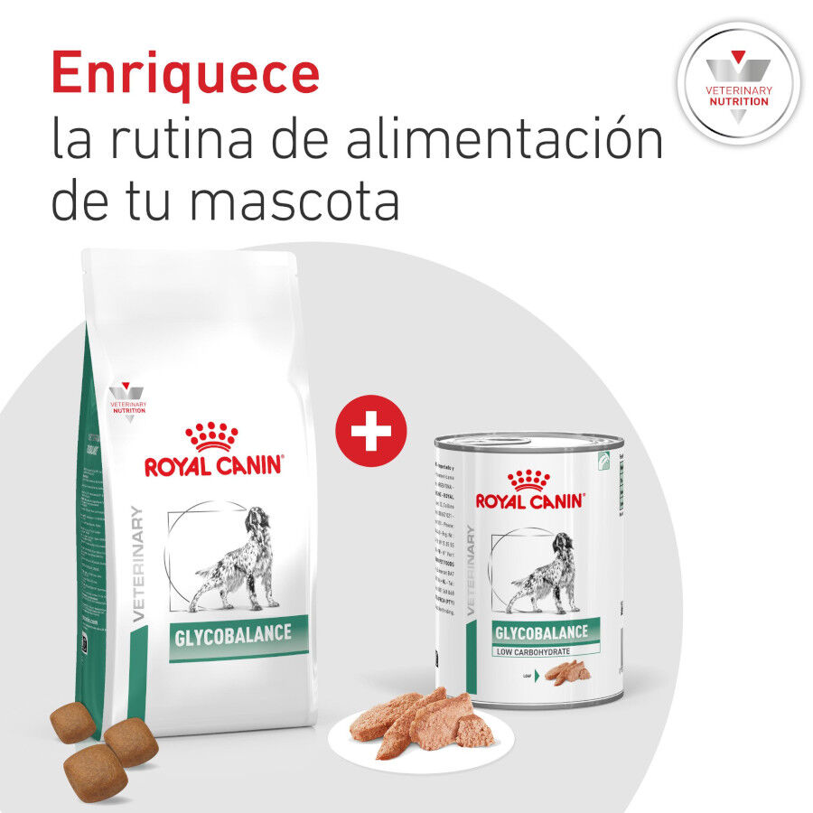 12 kg Royal Canin Veterinary Diabetic ra&ccedil;&atilde;o para c&atilde;es , , large Imagem n&uacute;mero 9