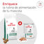 12 kg Royal Canin Veterinary Diabetic ra&ccedil;&atilde;o para c&atilde;es , , large Indicador imagem n&uacute;mero 9