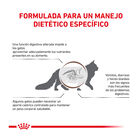 Royal Canin Veterinary Gastrointestinal Moderate Calorie ração para gatos, , large image number null