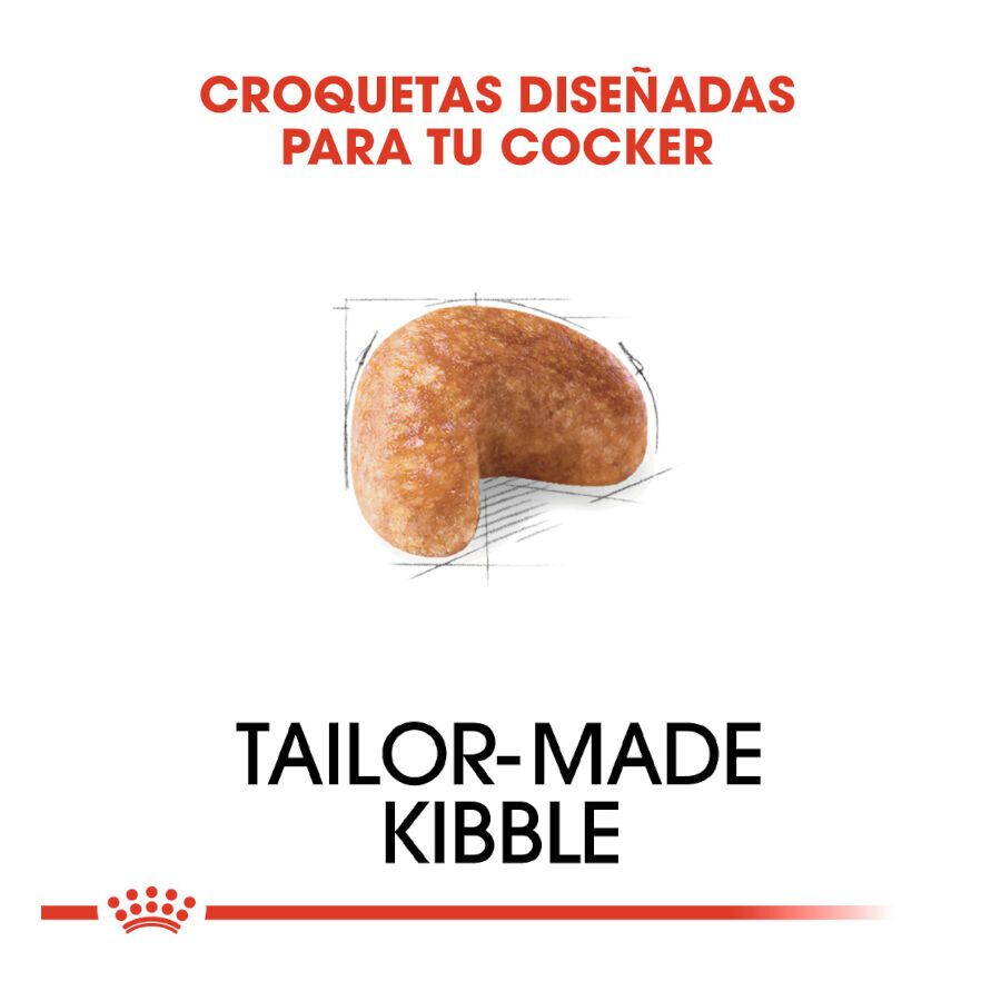 12 kg Royal Canin Adult Cocker ra&ccedil;&atilde;o para c&atilde;es, , large Imagem n&uacute;mero 5