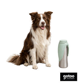 Gotoo Garrafa Bebedouro Port&aacute;til em A&ccedil;o Inoxid&aacute;vel Verde para c&atilde;es