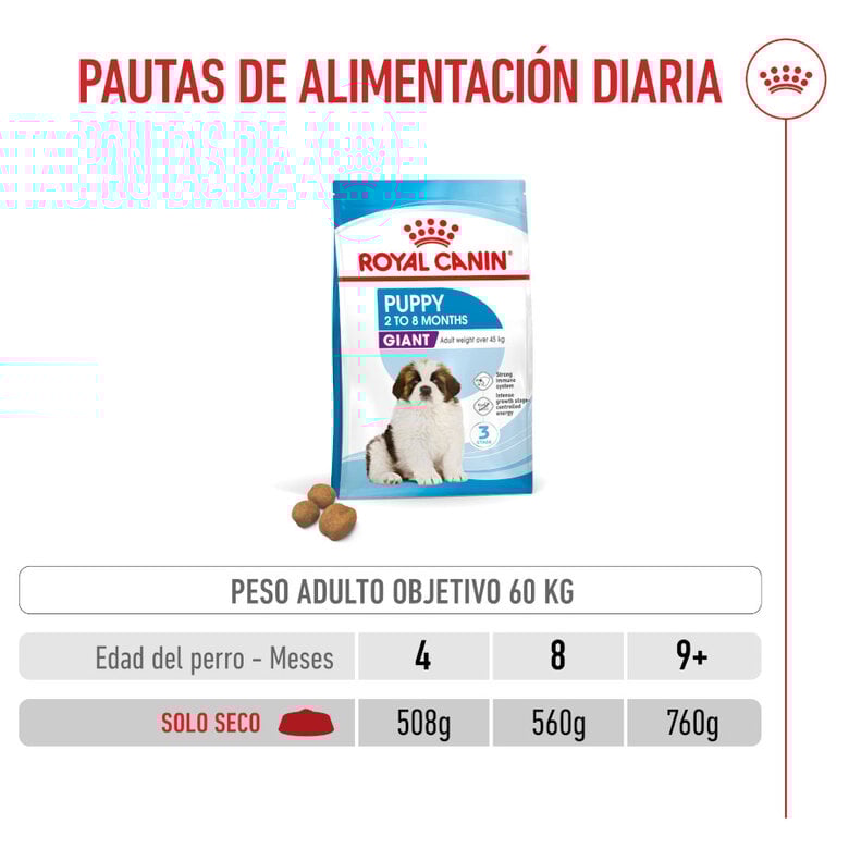 15 kg Royal Canin Puppy Giant ração para cães,  Imagem número 6 15 kg Royal Canin Puppy Giant ração para cães, , large Imagem número 6