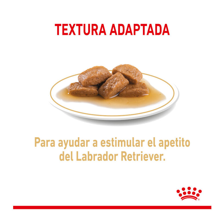 140 g Saquetas Royal Canin Labrador 140g,  Imagem número 5 140 g Saquetas Royal Canin Labrador 140g, , large Imagem número 5
